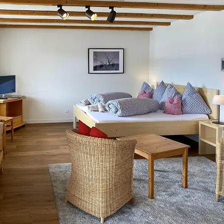 Schumellins - Laa400 By Interhome Apartment Laax